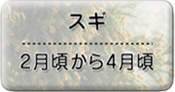 スギ2月頃から4月頃